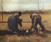 Vincent Van Gogh Peasant and Peasant Woman Planting Potatoes (nn04) painting